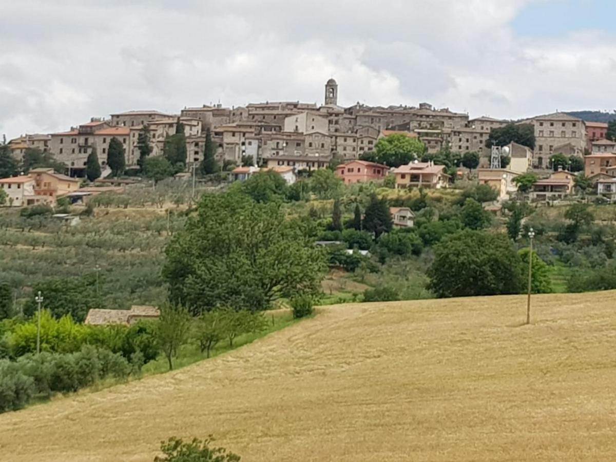 Al Ginepro Bed & Breakfast Montecchio  Eksteriør bilde