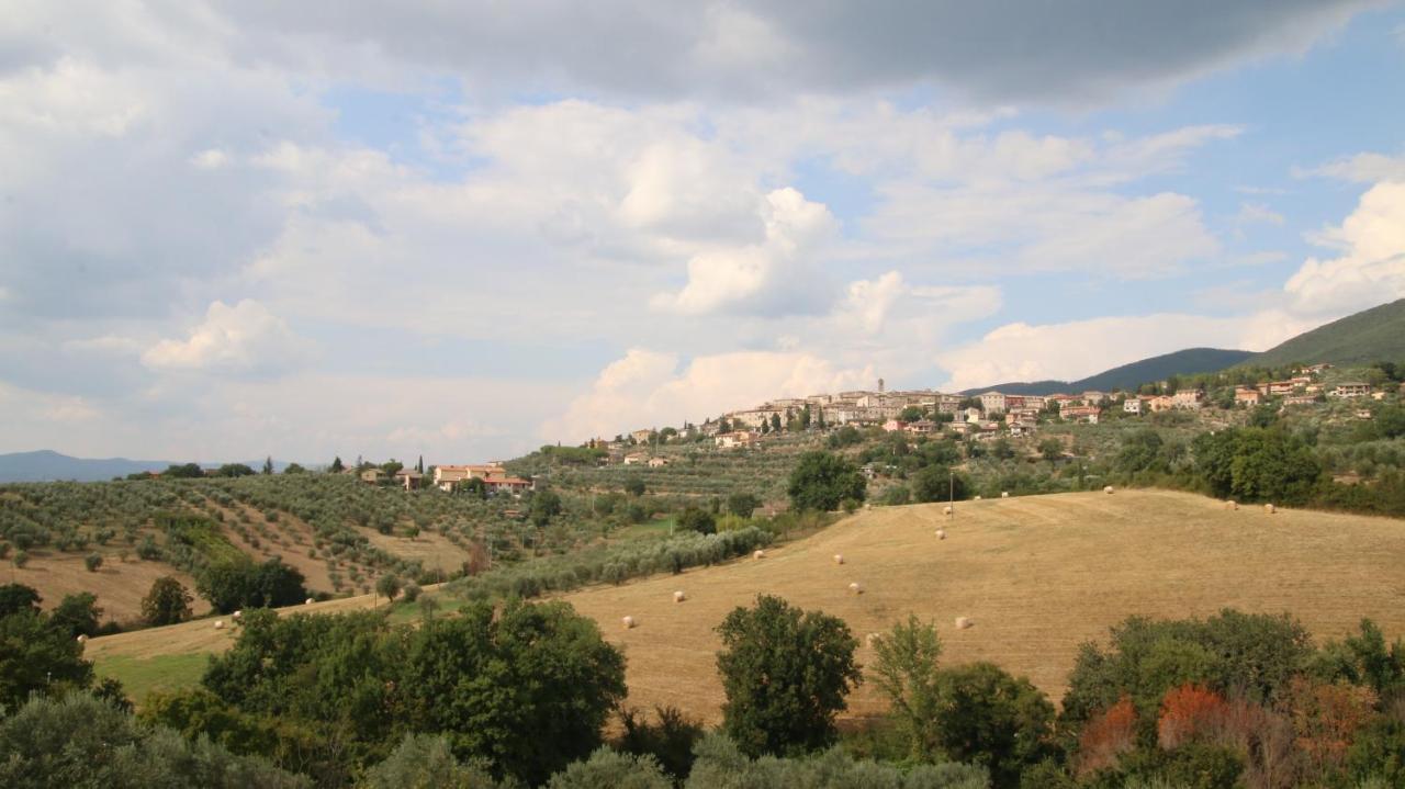 Al Ginepro Bed & Breakfast Montecchio  Eksteriør bilde